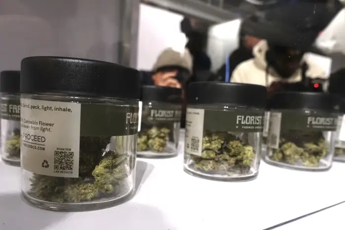 Marijuana on display